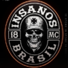 Adesivo Kit Brasão Brasil