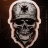 Adesivo Caveira Resinada Médio Insanos Mc